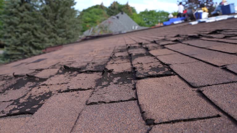 Best Storm Damage Roof Repair  in Peshtigo, WI